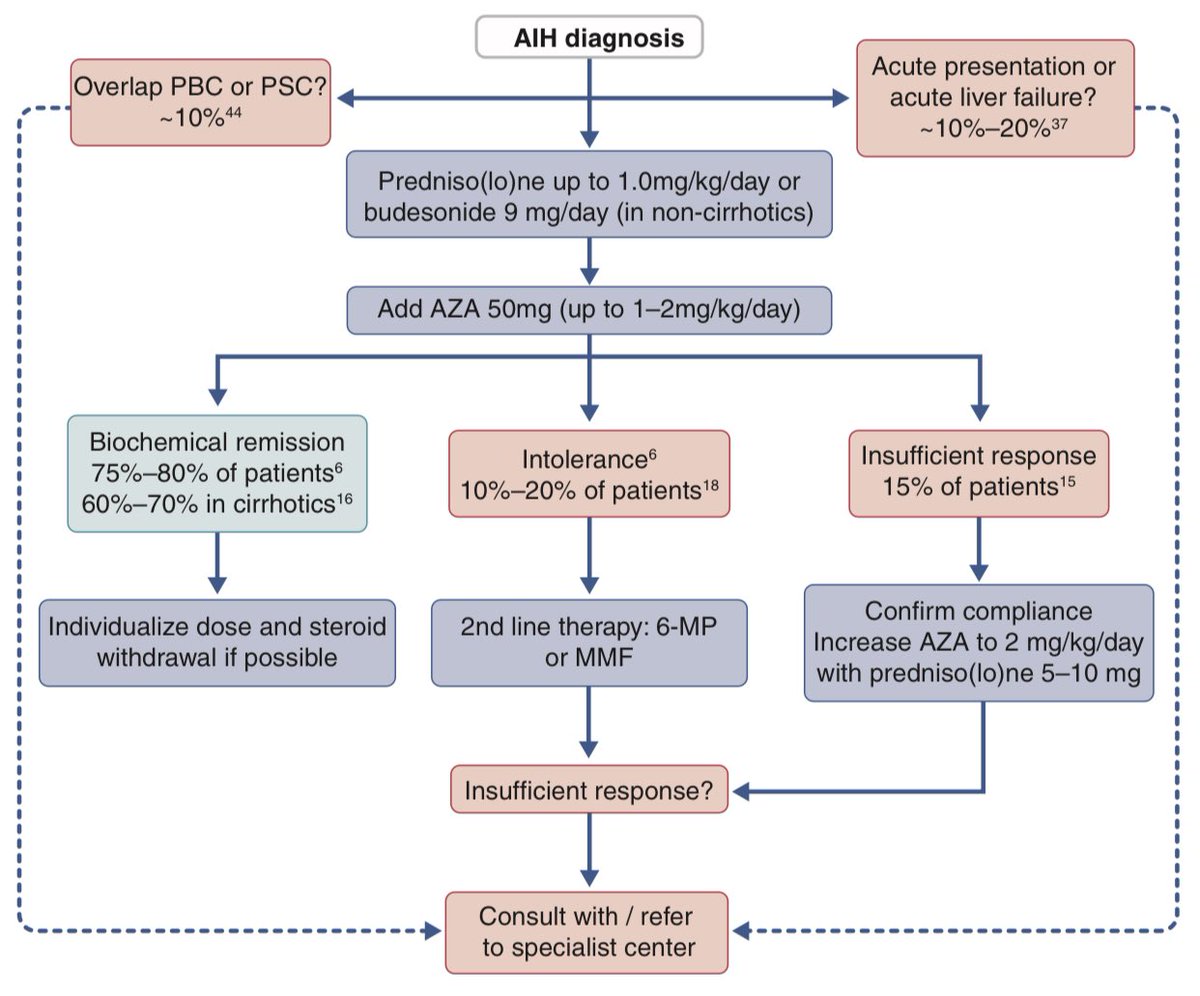 drkeithsiau's tweet photo. Autoimmune hepatitis - diagnosis and management #LiverTwitter #MedEd 

(Courtesy of @UEGJournal)
https://t.co/ojF6kRMFZe https://t.co/fCY71L7kCW
