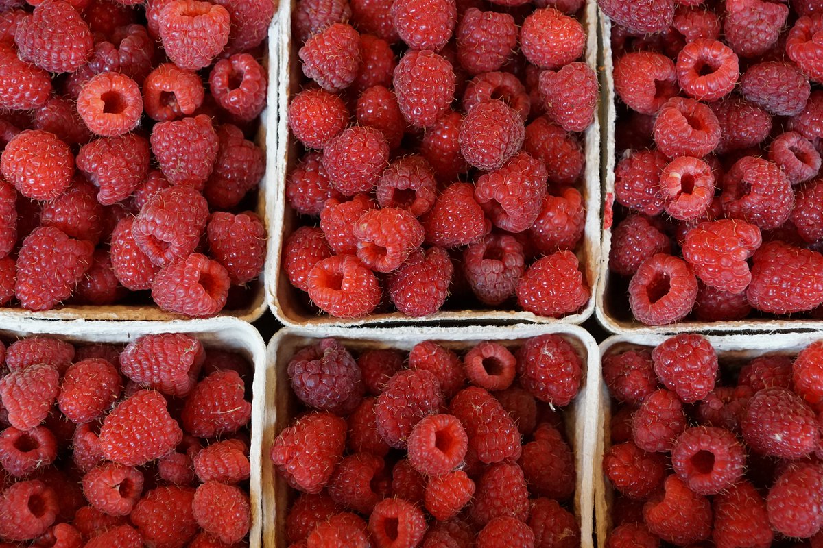 LiveritasA's tweet photo. Una ley para prevenir el desperdicio alimentario
https://t.co/BUBYmDwbZA https://t.co/CtJMa19O1P