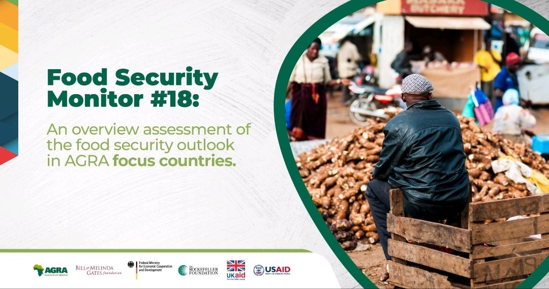 annymuthoni's tweet photo. The goal of @AGRAAlliance #FoodSecurityMonitor is to provide an assessment of #foodsecurity outlook in AGRA focus countries;i.e movmt of prices of food staples,govt interventions that impact on domestic& regional food trade, weather impact on food security
https://t.co/UI9kHzl9d8 https://t.co/1YhJ6uspUv