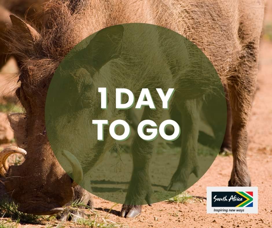 sastm1's tweet photo. 1 DAY TO GO!!! 
We can't wait to see you at Kruger National Park. https://t.co/lTJUyhBh5G