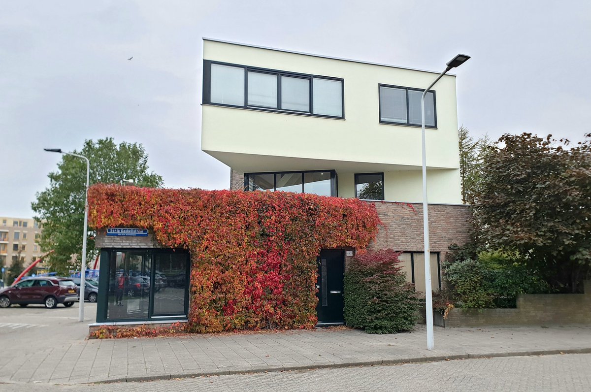 NandaSluijsmans's tweet photo. #Klimplanten, hier de wilde #wingerd, zouden vaker als architectonisch element ingezet mogen worden.🍁🤩 Huizen gaan leven, elk seizoen een andere kleurencombi💚, goed voor binnenklimaat én #natuurinclusief.🕷🐦
(Veel klimplanten tasten metselwerk niet aan)
#Inspiratiebeeld 80 https://t.co/KIhsWZZWkO