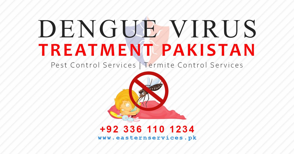 EasternService2's tweet photo. Dengue Virus Treatment all over Pakistan 
#dengue #dinguevirus #denguemosquito #mosquitocontrol #pestcontrol #termitecontrol #rodentcontrol #cockroachescontrol #fliescontrol #fumigation #KuchAchaHojaye #DrAbdulQadeerKhan #StayInyourLimits #OverMyDeadBody #kuchachahojaye https://t.co/n6yK9sJCkL