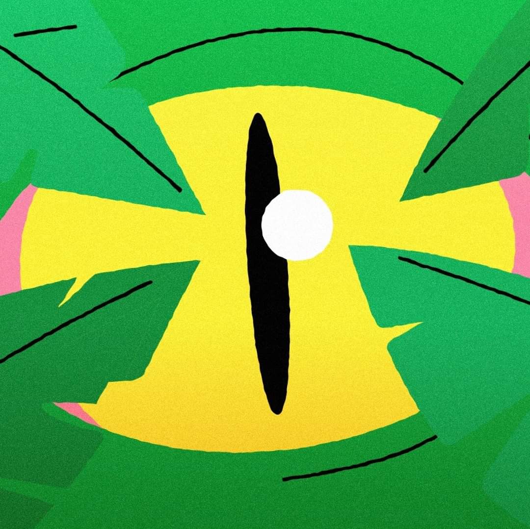 𝗔𝗹𝗹𝗶𝗴𝗮𝘁𝗼𝗿,/𝑛𝑜𝑢𝑛/​
A devotee of jazz or swing music. Perhaps alludes to sharp-dressing with alligator leather.​

𝗔𝗹𝗹𝗶𝗴𝗮𝘁𝗼𝗿𝘇,/𝑏𝑎𝑛𝑑/​
Famous french-brazilan DJ's, half human half alligators, making your booty shake to Ipanema Bass.​

ᴘɪᴀᴜɪ - 22.10.21