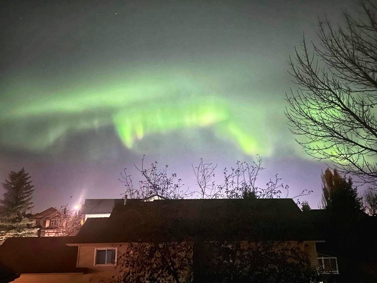 hpunt22's tweet photo. Saw the northern lights for the first time. What a cool experience. Holy. It made me so emotional, I cried #sofriggencool #AuroraBorealis #yyc https://t.co/ohqPHozp2z