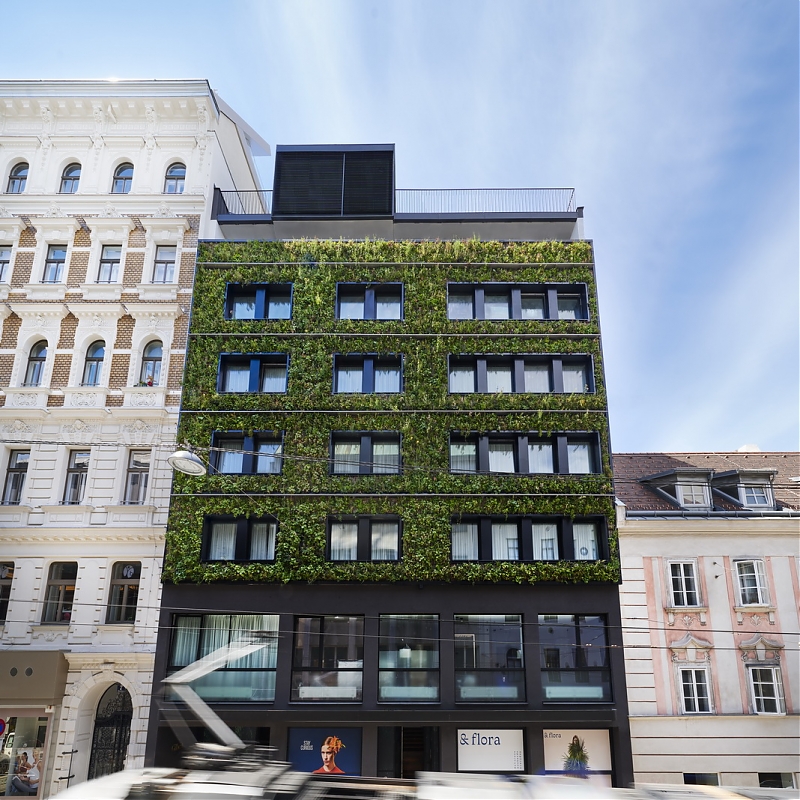 Opening soon: the beautiful Hotel Gilbert! The SemperGreenwall has been tailored to the local climate with lots of hardy, evergreen plants and a winter irrigation program that protects the plants against frost. Photo: Wolf-Dieter Grabner #SemperGreenwall #livingwall #Vienna