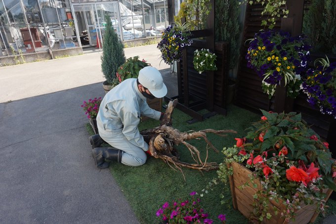 花フェスタ Hana Festa Sapporo 22