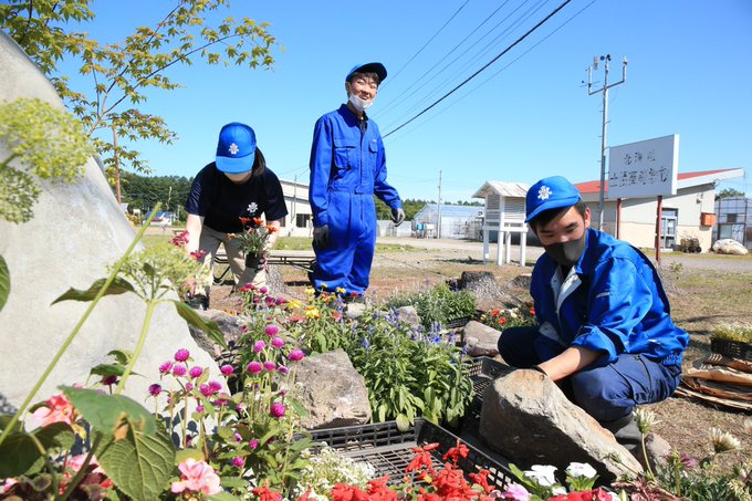 花フェスタ Hana Festa Sapporo 22