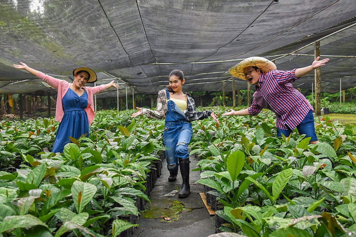 mainedcm's tweet photo. Coffee appreciation week! Mag papalpitate tayong lahat ngayong linggo dahil wala tayong ibang paguusapan at titikman kundi kape! Ang buong proseso - mula pag tanim hanggang sa pag handa at pag inom nito - aalamin natin. Kape-kape gabi-gabi, #MaineGoals 7:30pm sa @FeelGoodSaBuko. https://t.co/Dq5LhSA0Jq