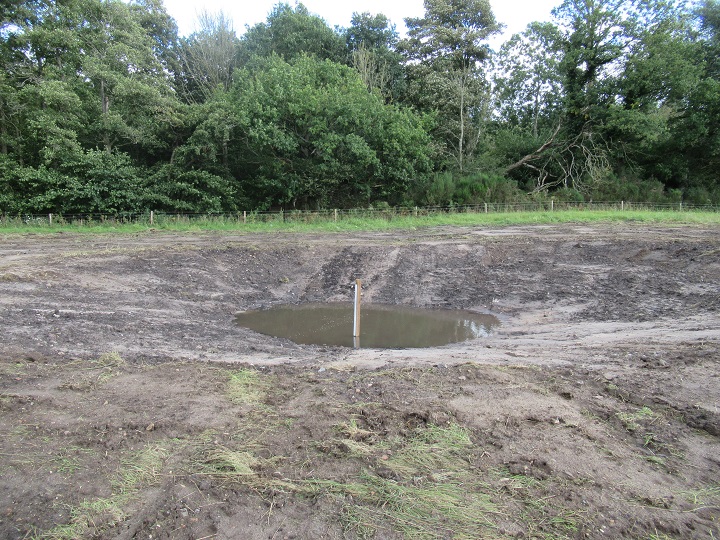 NorfolkWT's tweet photo. NWT's project to uncover ice age ponds in the Brecks is well underway! Experts have come together to take part in the excavation of 'ghost pingos' at Watering Farm, with the aim of bringing 14 lost pingos back 'to life'.

@TheBrecksLP @HeritageFundUK

📸 Matt Jones https://t.co/sEF3Gbb5Hg