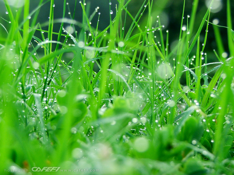 Alivia Sica (@aliviasica) on Twitter photo 