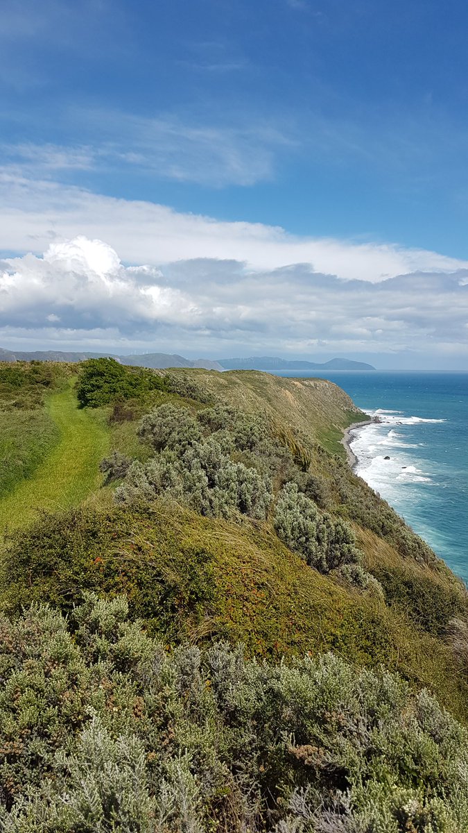 Presently engaged in invasive weed surveillance and control on Te Mana o Kupe, so I won't be active on here. https://t.co/L1eHck8tv8