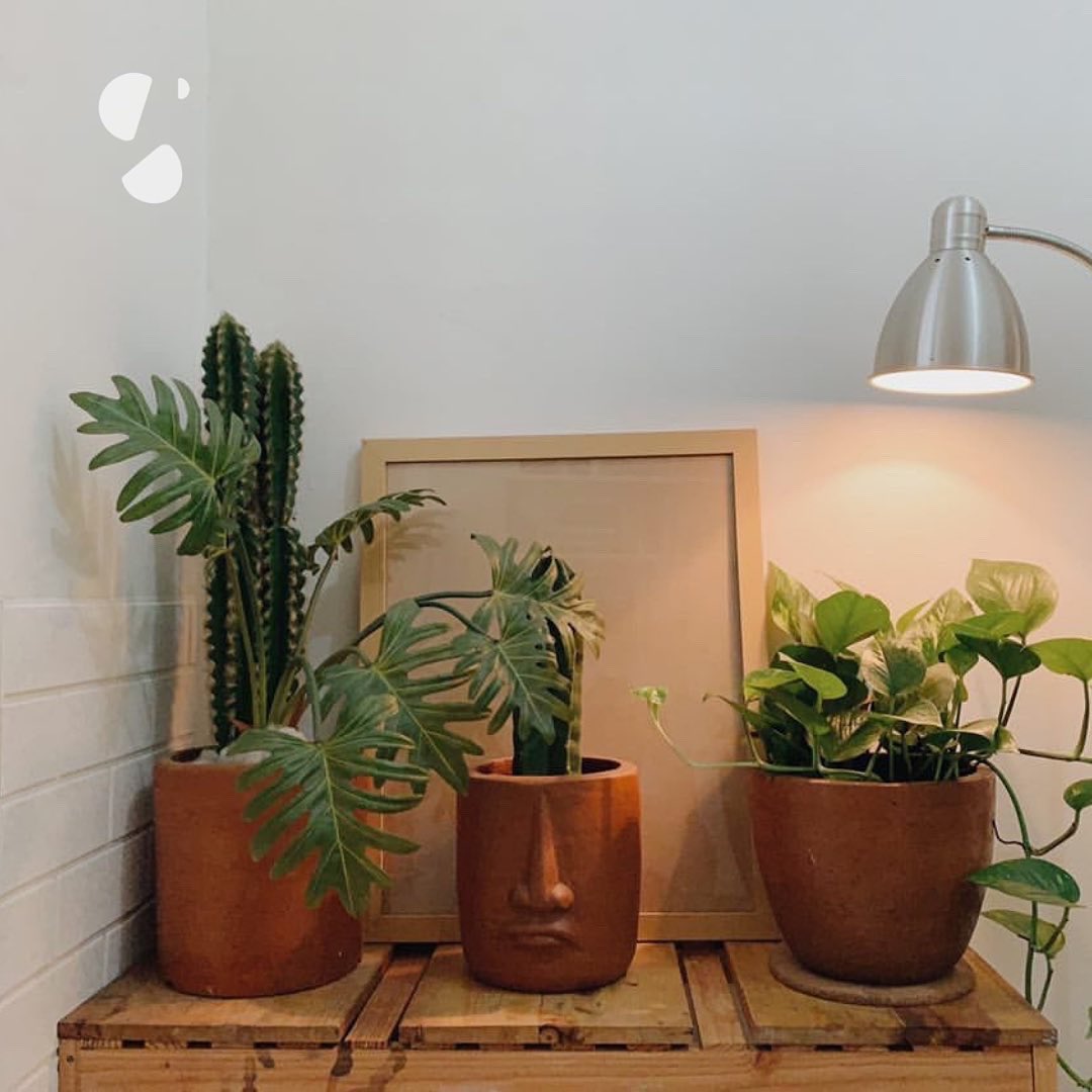 kamar kosan ukuran cuma 3x2,5m tapi estetik parah check ✅✅✅

ada lemarinya + melihara 5 kucing dalam kamar jugaaa 🤯🤯🤯🤯