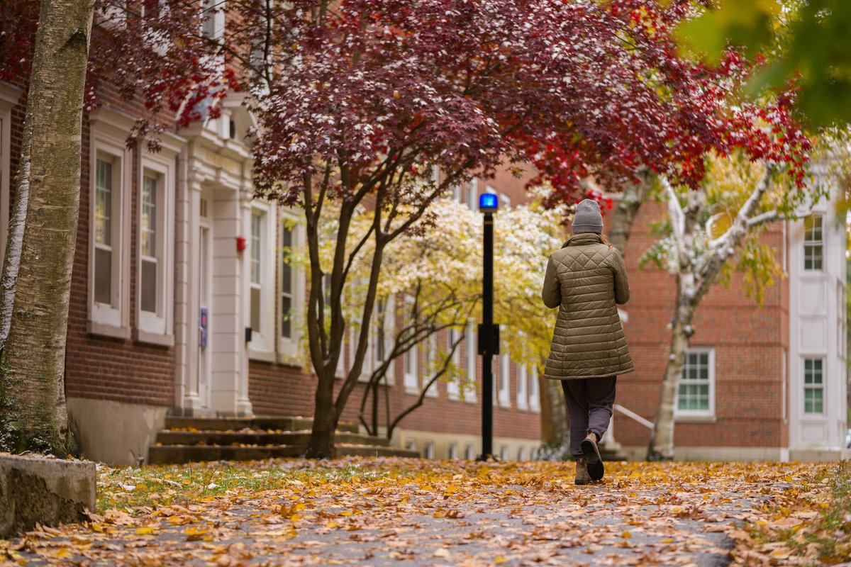Today (10/12) from 9:30-10 am: free <a href="/CanvasLMS/">Canvas LMS</a> training on New Quizzes for @GraniteStateCol <a href="/KeeneState_/">Keene State College</a> <a href="/PlymouthState/">Plymouth State University</a> <a href="/UofNH/">University of New Hampshire</a> faculty. Register: at-training.unh.edu/apps/ssr?actio…