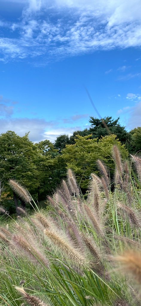 고영남 tweet media