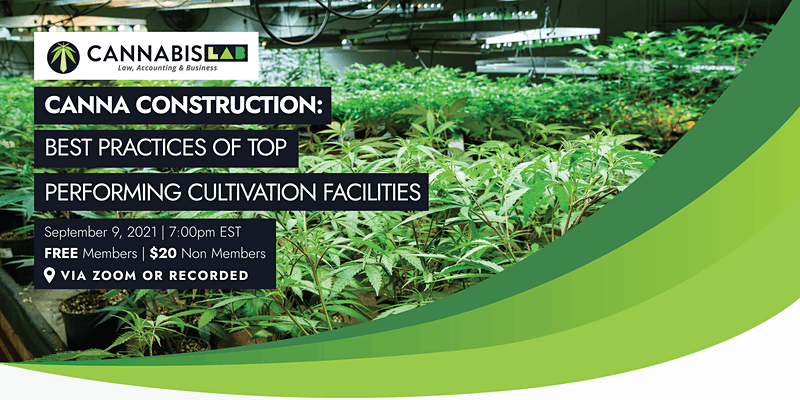 THE MAZE: VIRTUAL MEETINGS + EVENTS - mailchi.mp/0d14987f47d5/t…