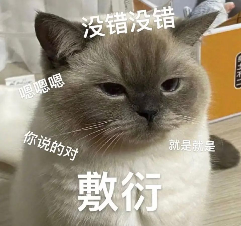 nekoruoruo's tweet photo. 宜家唔系事必要你讲，但系你所讲我都会当听唔到！ https://t.co/6NtEyhB9VH