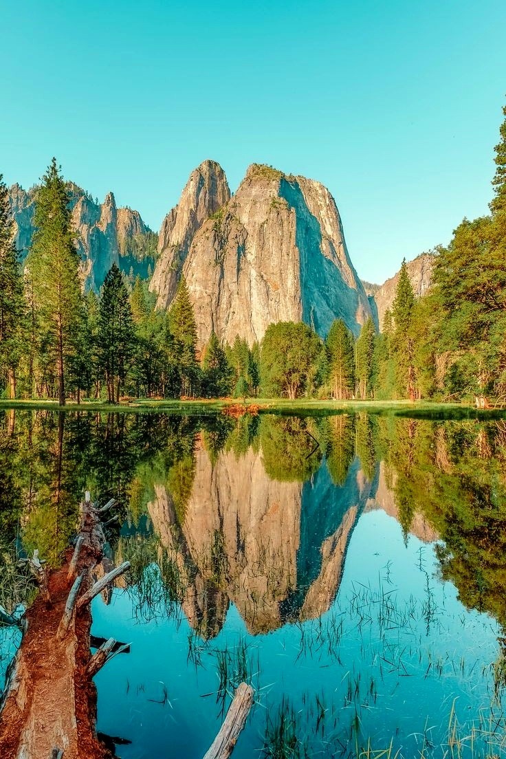 Yosemite National Park