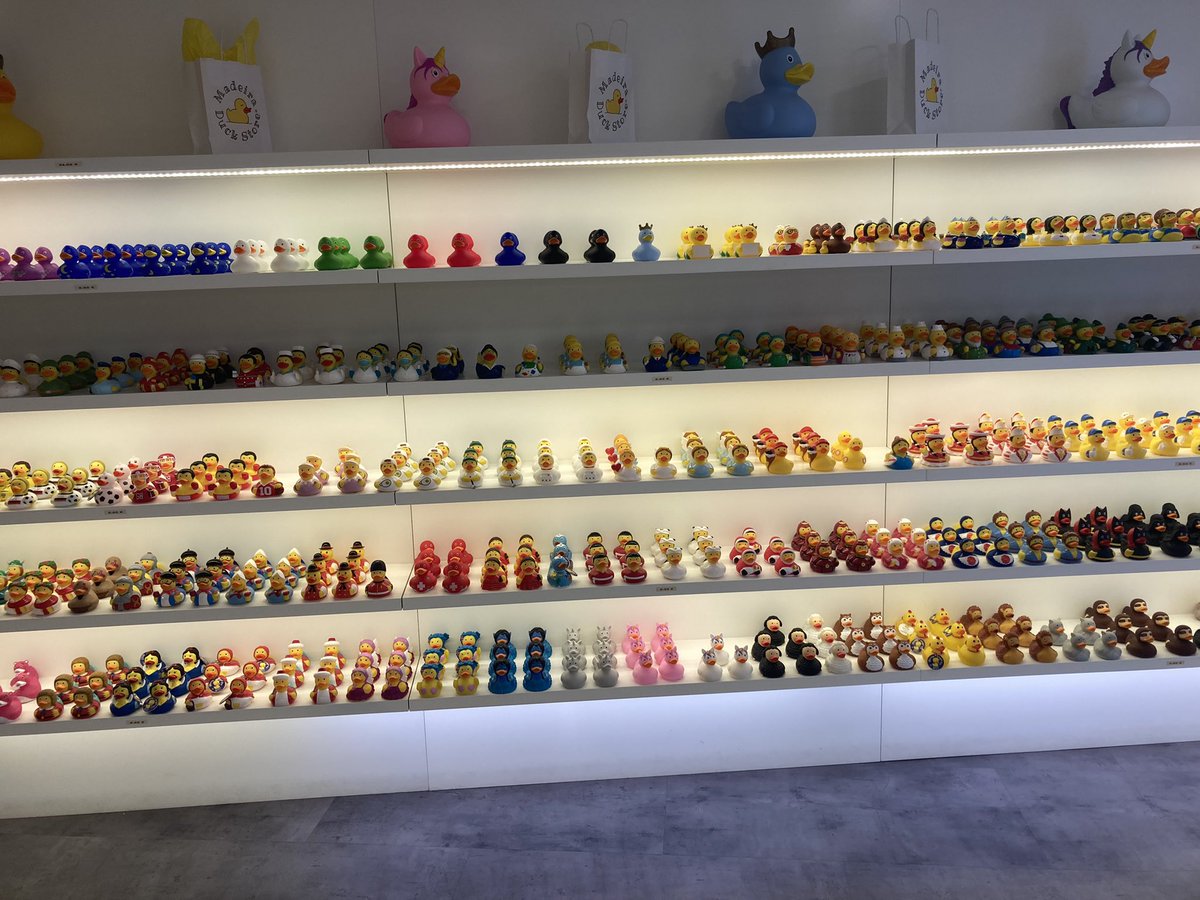 Curly Twig 💙 tweet media