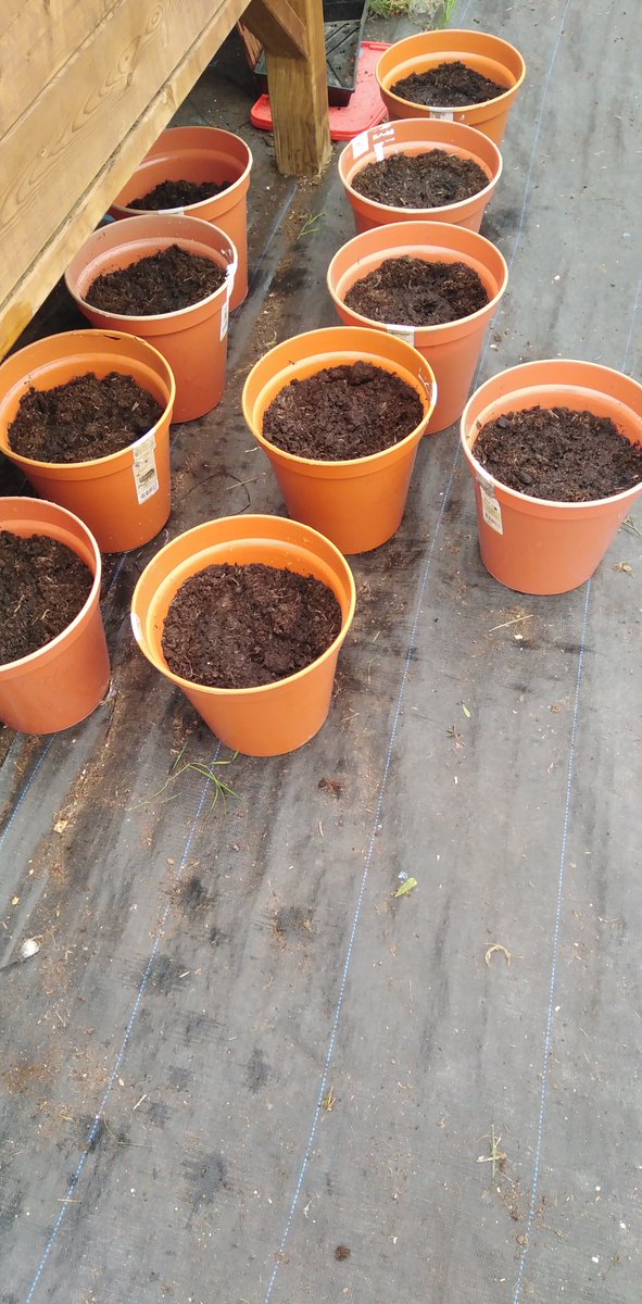 TY Science class have been working very hard. They produced lovely posters to raise awareness on climate change and planted spring bulbs in our tunnel this morning. We'll done to all, keep up the good work. #bulbsforbees <a href="/GaisceAward/">Gaisce - The President's Award</a> <a href="/CastlereaCs/">Castlerea CS</a>