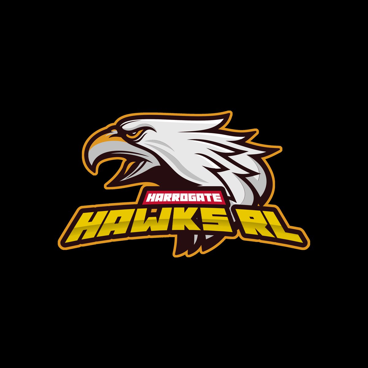 A big recruitment drive over the weekend saw another 6 players join the Hawks 💪🦅

If you want to get involved, training is every Tuesday 8-9pm <a href="/AshvilleSC/">Ashville Sports Centre</a> on the astro turf.

Whether you're new to the sport or want to start playing again, everyone is welcome!!