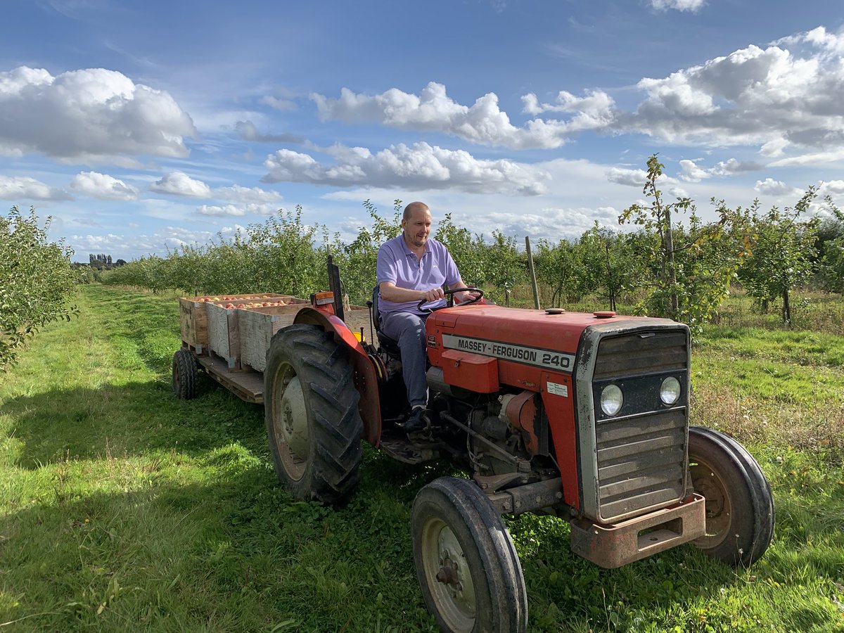 Bushelbox's tweet image. Meet Steve driving one of our trusty Massey tractors as we harvest Braeburn apples. As a small grower most of our produce is sold directly though the shop. Come and see us and our range of apples. Currently 14 varieties available all grown right here.
