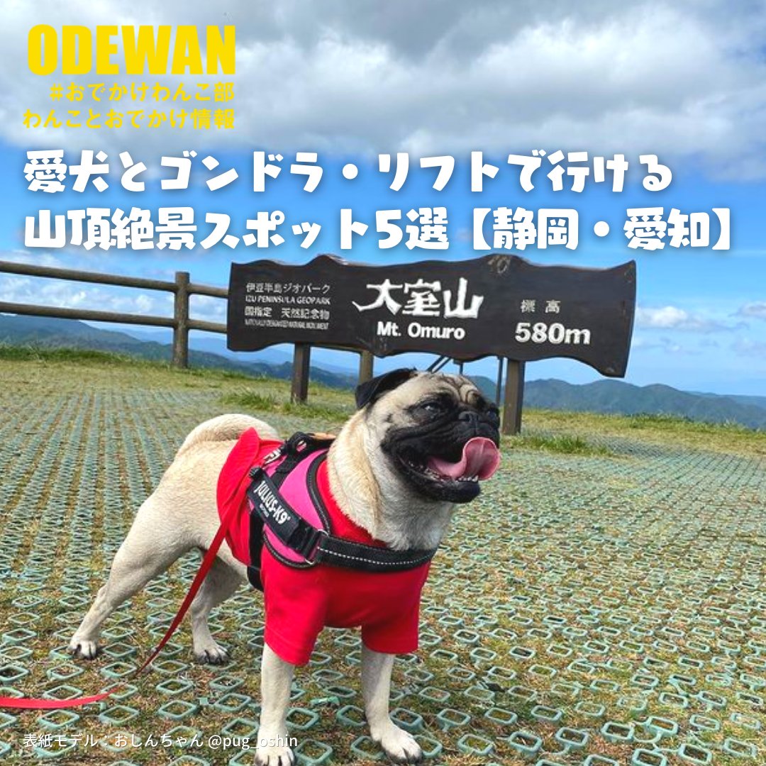 おでかけわんこ部 愛犬とのおでかけ情報 Odewanbu Twitter おでかけわんこ部 愛犬とのおでかけ情報 Odewanbu Twitter