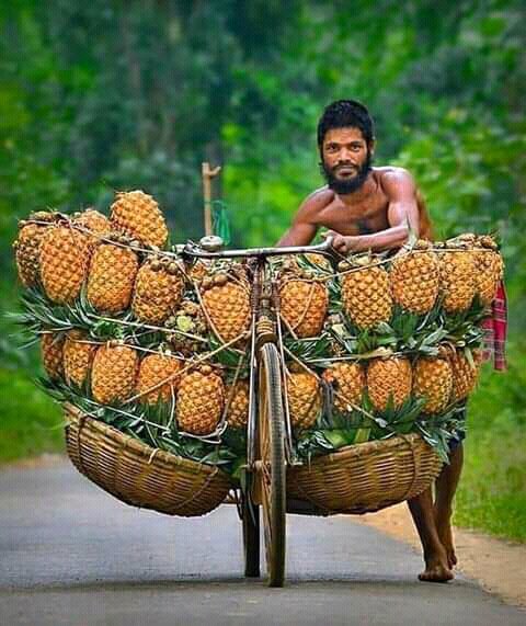 tukwa2's tweet photo. #saveThePlanet
#savetheamazonrainforest
#saveMauforest
#savecongoforest
#ClimateActionWeek
protect the Nature and Nature will protect us https://t.co/hLwBGTBDEM