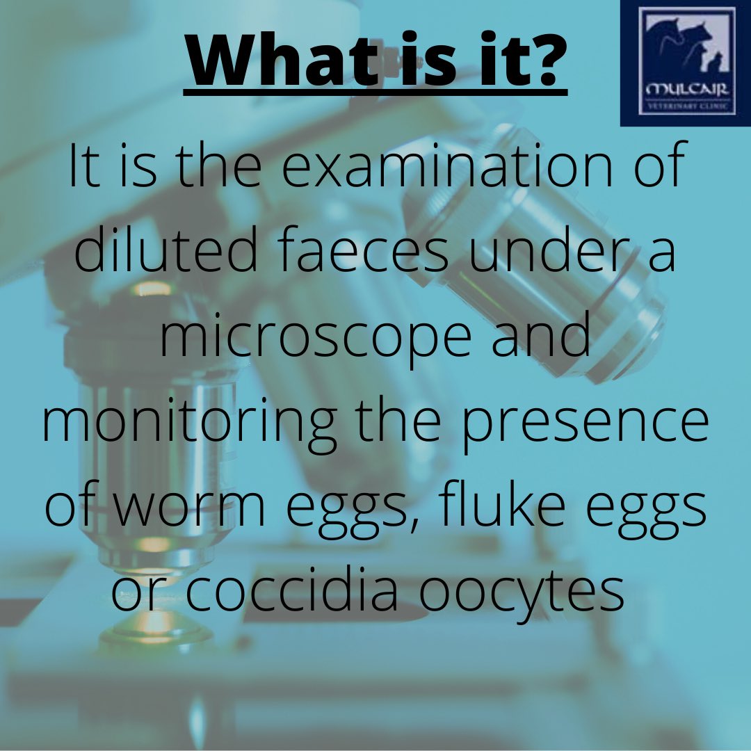 This week we are going to be discussing faecal egg counts and the benefits and reasoning behind faecal sampling.