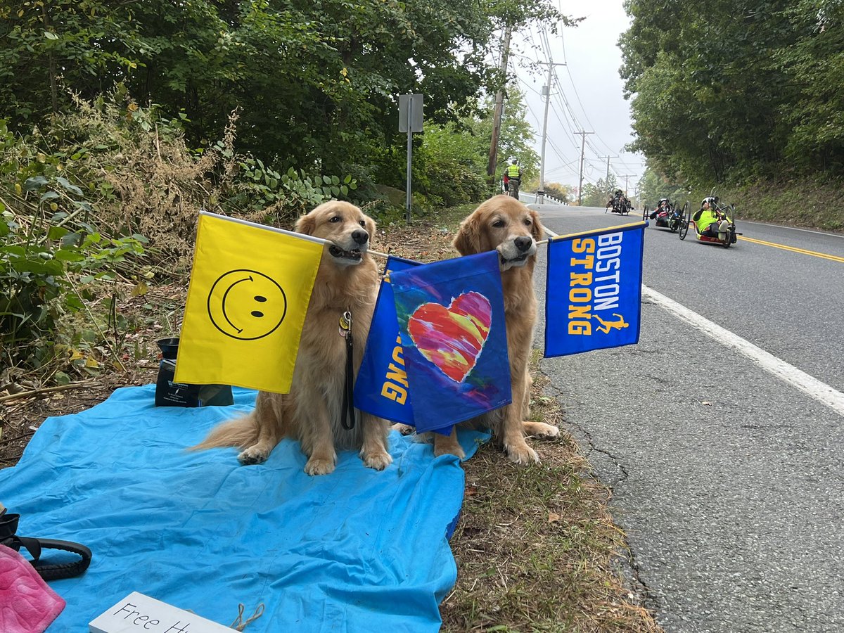 The Henry Studio tweet media