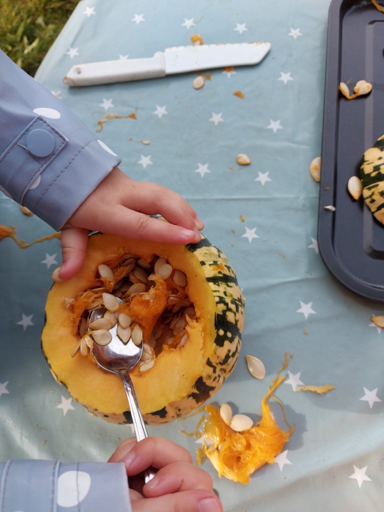 tiddlers1's tweet photo. The ripe large and small pumpkins revealed an abundance of seeds, the children will wash and dry the seeds and keep some in an envelope for planting in spring! We will roast some of the seeds, and make Pumpkin crisps and soup on Friday #seizetheseason #linkalwayslink #froebel https://t.co/cXZZiqwyZ0