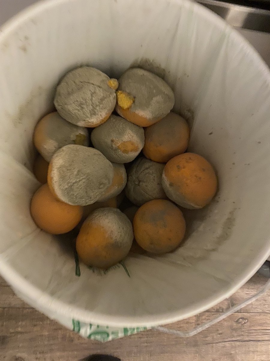 explorerlady's tweet photo. What’s going with the fruit. Bought on Friday at COSTCO for my daycare and arrived to this on Monday morning!
⁦@costcocanada⁩ 
#rottenfruit #supplychain #daycares https://t.co/oshLgTDgcj