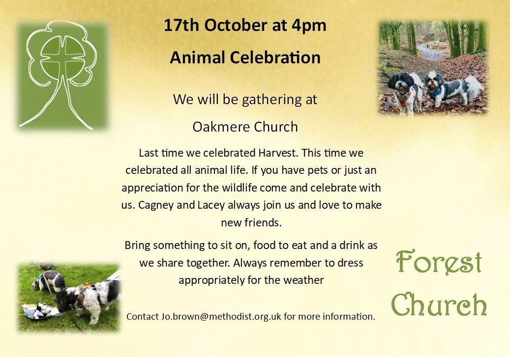 Our next #forestchurch gathering is taking place this Sunday. Do join us if you are in the area.