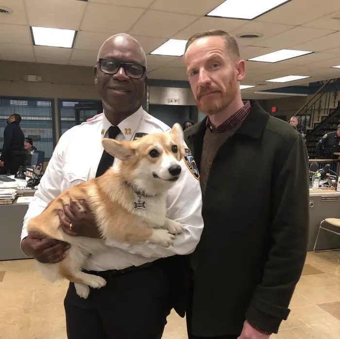 BossRushEnt's tweet photo. @josh_finn &amp; @logancorkins seriously considered doing a Cue List B99 Spinoff: Reasons why we love Cheddar! We will miss talking about our “Fluffy Boy” every week. https://t.co/lBdKM4QMEc