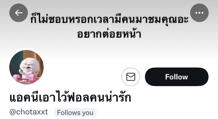 Z1N tweet media