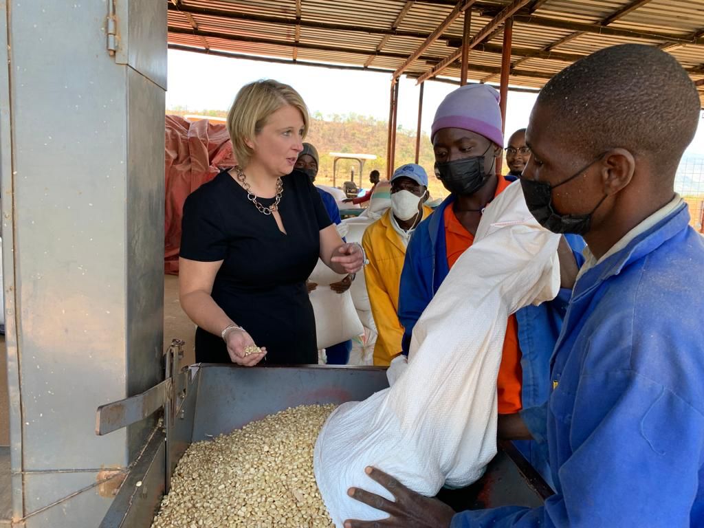 Fletch_K_'s tweet photo. Insightful visit to Chimoio where I had the chance to visit DECA, ECA &amp; Phoenix Seeds and saw how UK 🇬🇧 agriculture businesses operate in Mozambique 🇲🇿. Also had the opportunity to announce the portal for UK #AgriTech suppliers: https://t.co/eLiI26JuF9 @PChachine @NneNneUK https://t.co/9LKFBfjSNP
