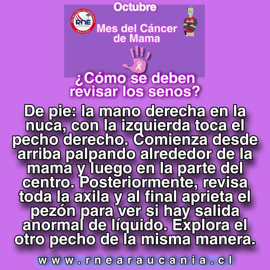 RNEAraucania's tweet photo. 🎗️Octubre mes del #CancerDeMama nos unimos en la labor de hacer conciencia y sensibilizar a la población respecto a la detección y tratamiento oportuno para esta enfermedad.
#PreparatePiensaActúa
#TodosSomosRne
#Araucanía
#RneWeb
#Cancer
#Octubre
🌐https://t.co/VA7TT84sfQ 🇨🇱 https://t.co/Vkx1U2IBo5