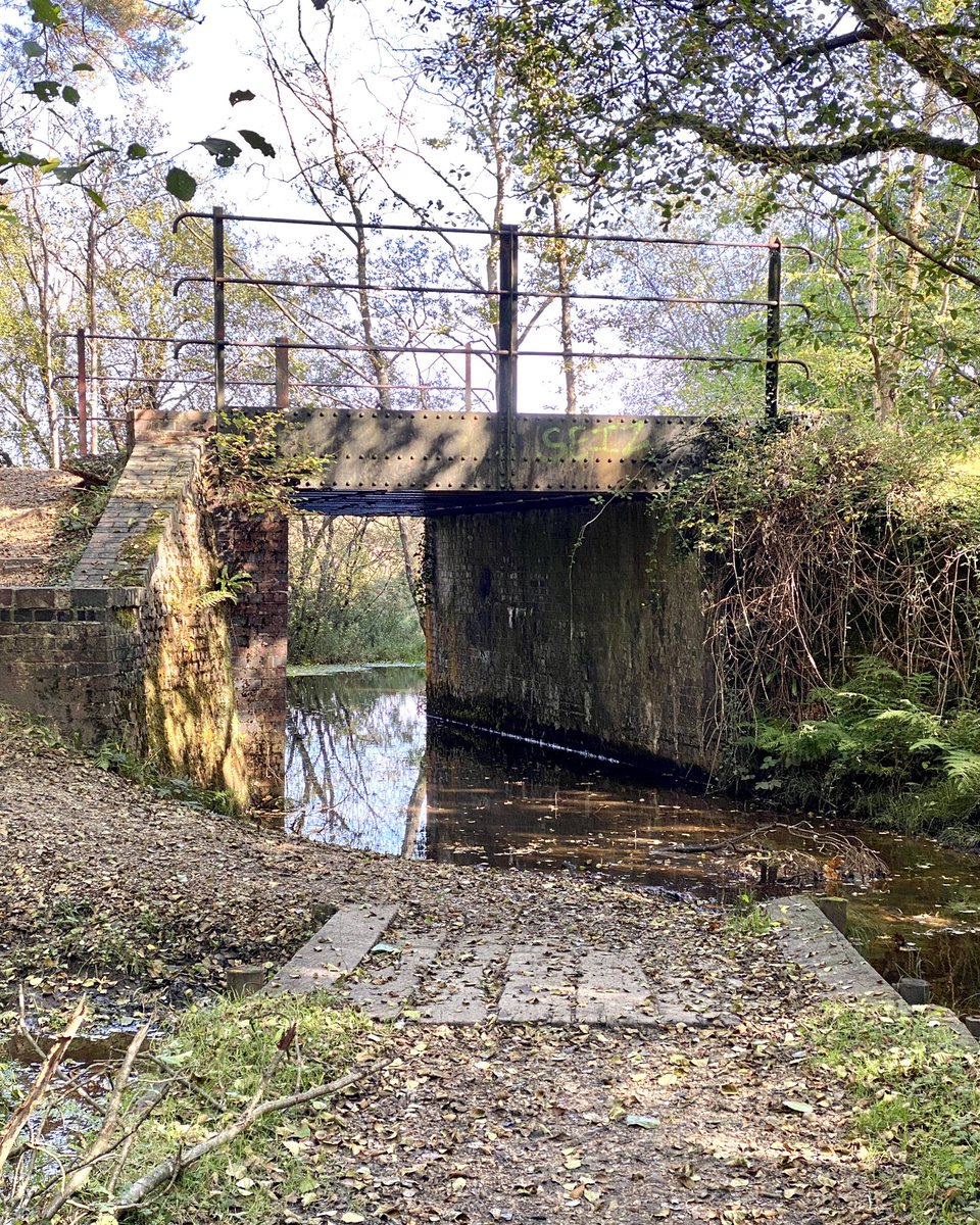 dalepeter's tweet photo. A walk in the New Forest. 
#NewForest
#walking 
#iPhone11ProMax https://t.co/GJdjLraqCo