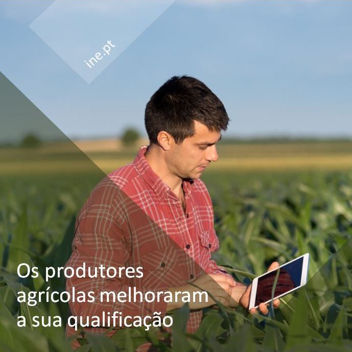 pt_INE's tweet photo. Em 10 anos, o número de produtores com formação superior nos domínios da agricultura e floresta, embora ainda pouco representativo, aumentou 75%.
🔎 SAIBA+ sobre a agricultura em Portugal em https://t.co/O6s6arOfMZ
#inept #agriculturaflorestaepescas #ra2019 https://t.co/bFdZjyuZ1k