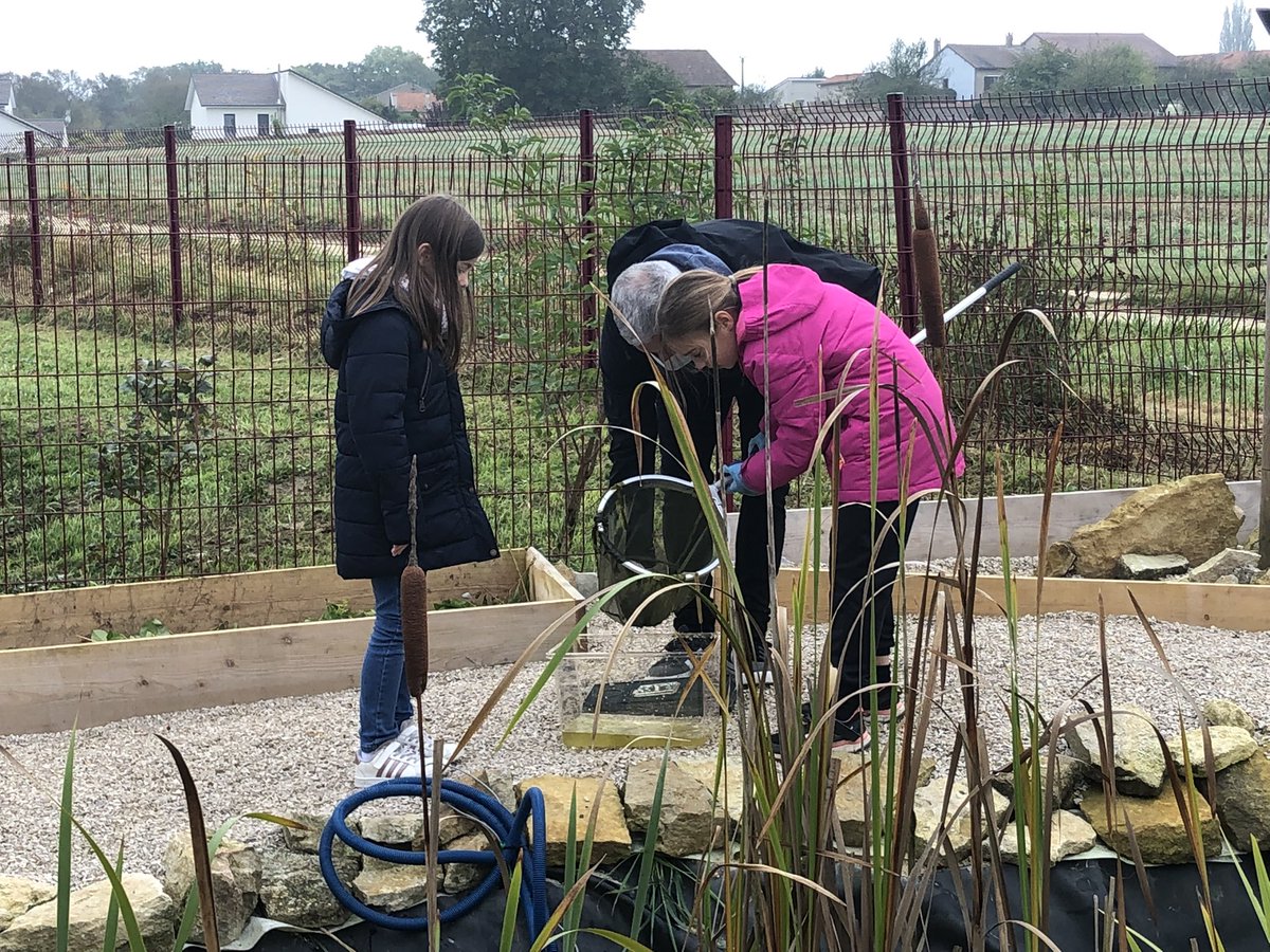 Mare pédagogique à @ecoleCharny les élèves impliqués dans une démarche d’investigation