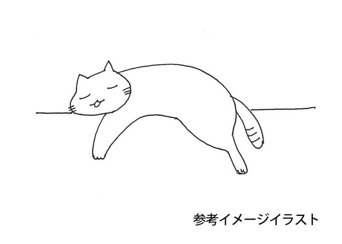 【😺募集】
ソファーの背もたれや階段の手すりなどで、だら～んとくつろぐ猫さんのお写真を企画参考資料として募集中です!
みにゃさまリプライでお写真を送っていただけないでしょうか?🙇‍♂️ 