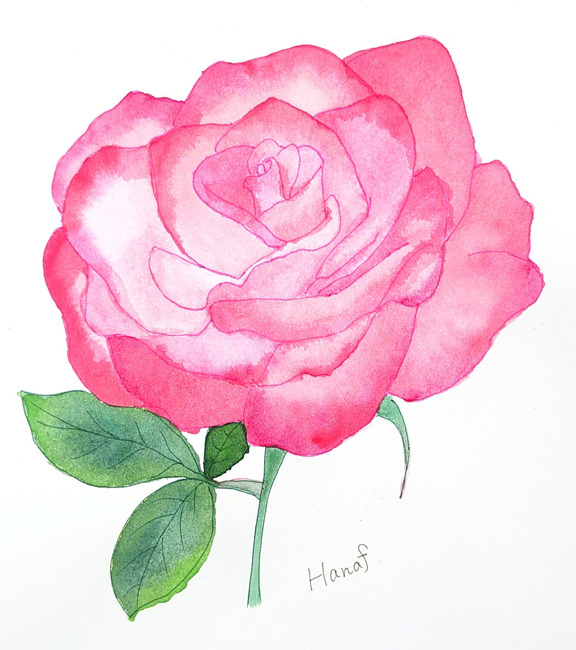 薔薇の絵 Twitter Search Twitter