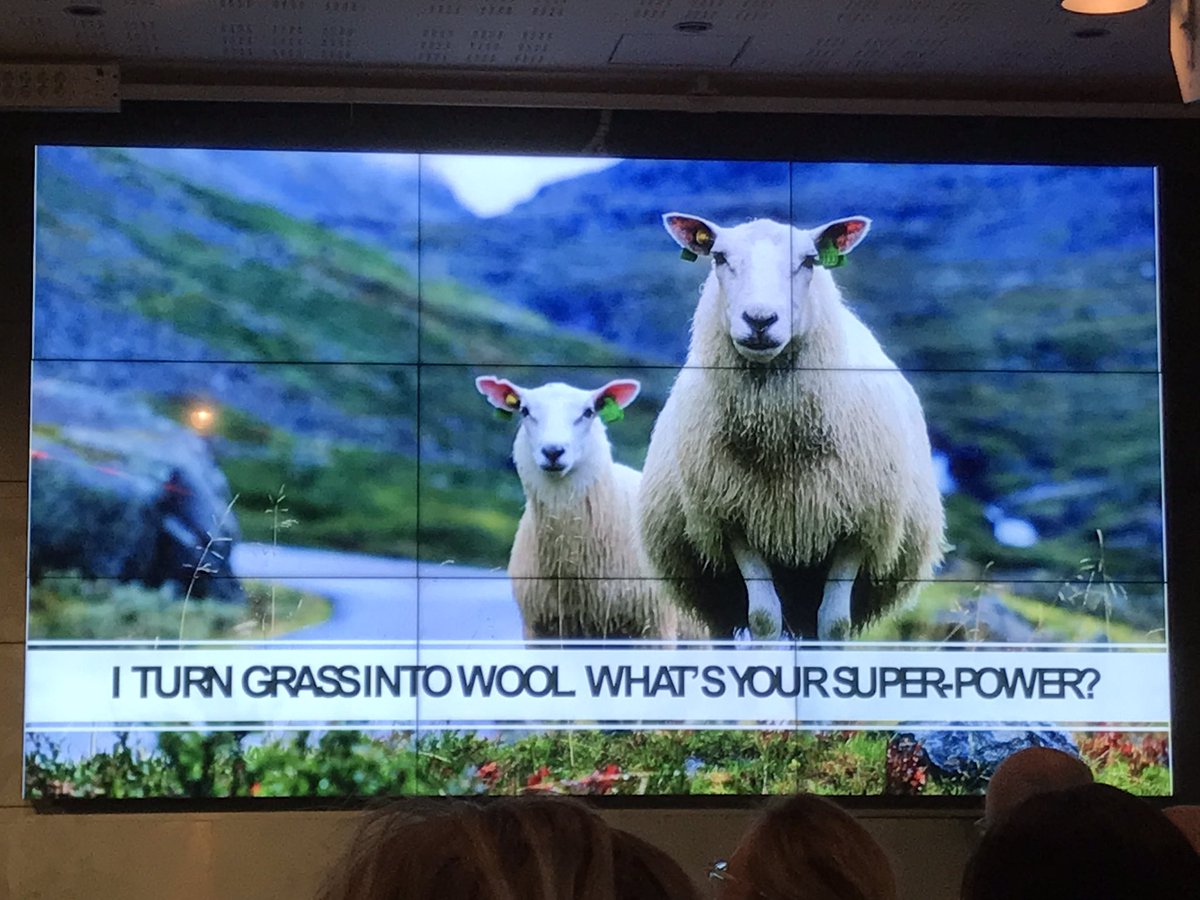 LisLBerg's tweet photo. “I turn grass into wool. What’s your superpower?” #ulldagen2021 #norwegianwoolday2021 #norwegianwool #woolisgold @NorskIndustri https://t.co/tMYW7p4kIP