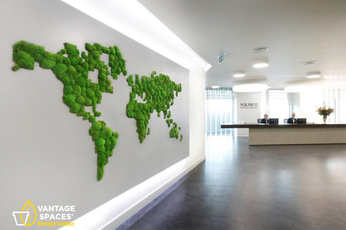VantageSpaces's tweet photo. We know how to make an entrance! π₯
Your reception is your face to the world; one of the most critical areas of a business. Leave your staff and clients with a long-lasting impression with our bewitching biophilia.
#officereception https://t.co/mOAZBB1ne1