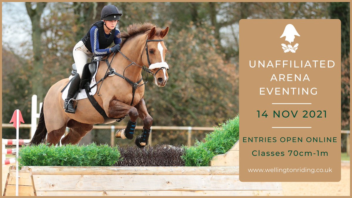 Wellington Riding tweet media