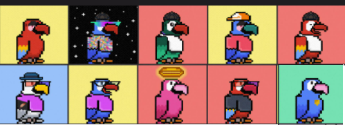 eyejoker7's tweet photo. @SolanaBirbs flying birbs https://t.co/1SLOnnnafD