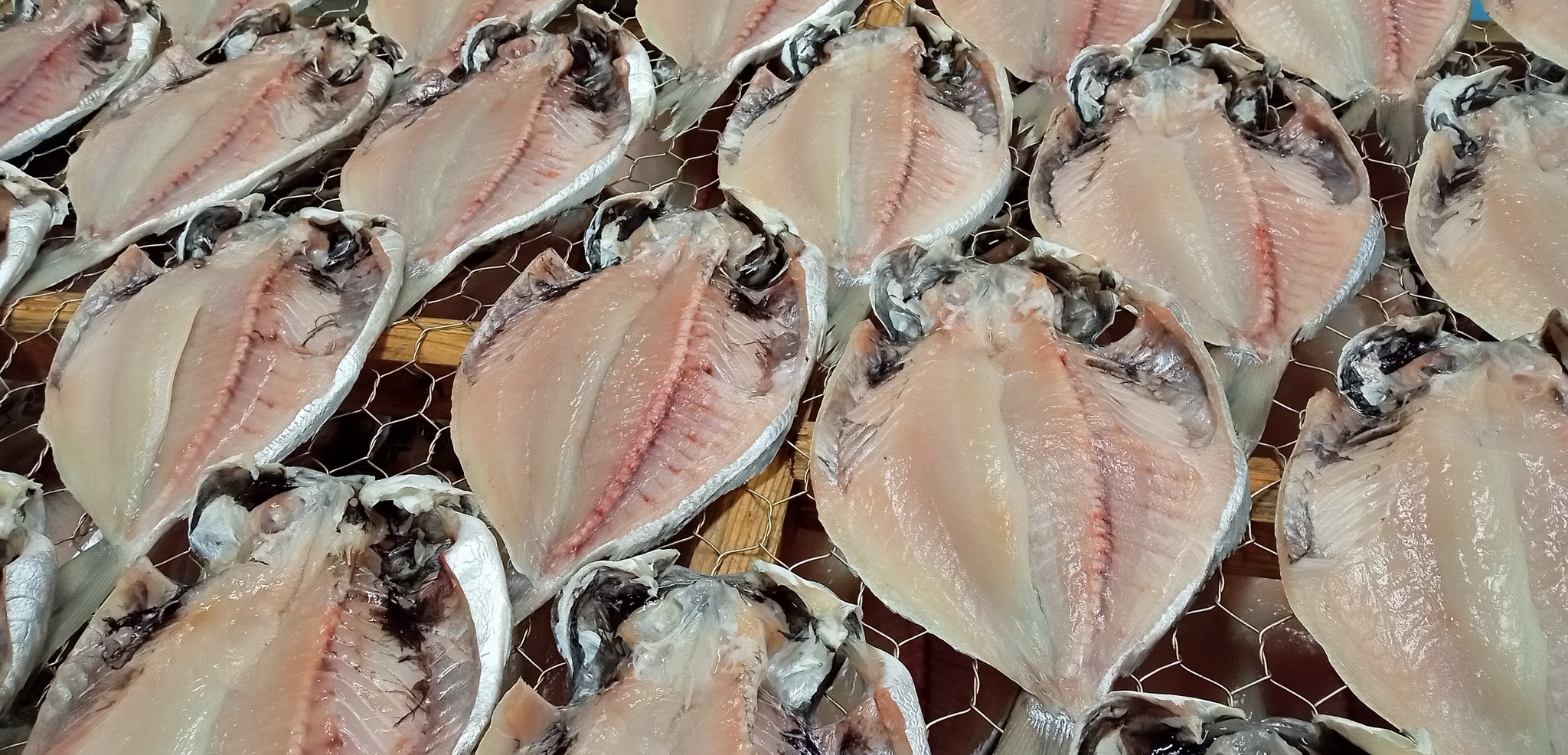 エボダイの干物 Twitter Search Twitter