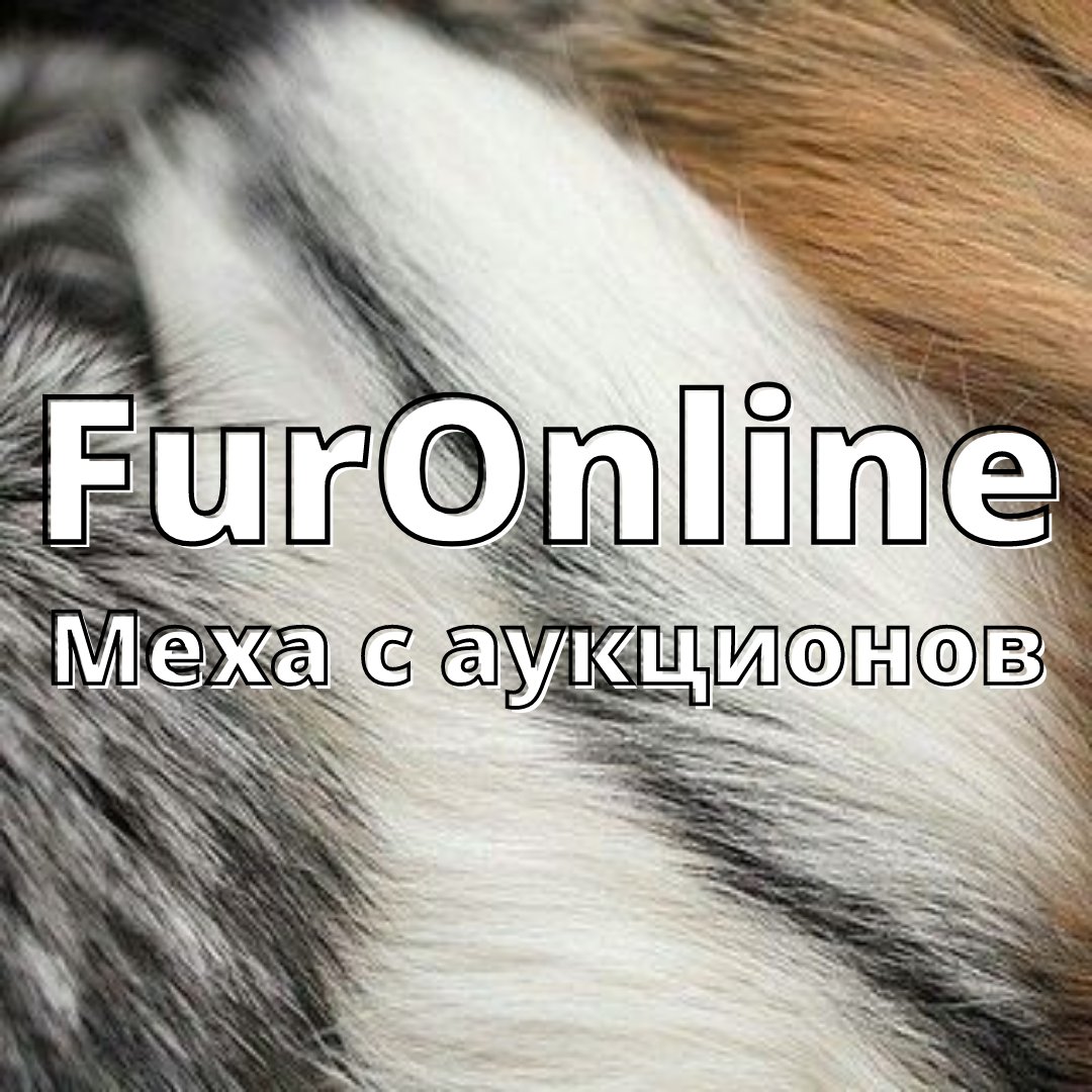 Alexander Nepein (<a href="/furonline/">Меха с аукционов</a>) • Фото и видео в Instagram instagram.com/p/CU69kT0sq_C/