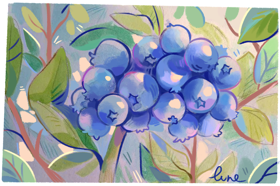 MDLune_'s tweet photo. Bluberry https://t.co/w7BupYCB9G