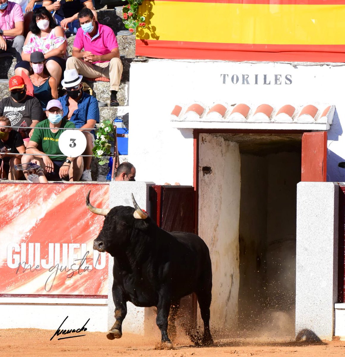jicascon's tweet photo. Que bien me viene esta foto de @objetivoeltoro para decir hoy ¡VIVA ESPAÑA! #guijuelomola #elmejorjamondelmundo #jamonytoros https://t.co/TRmUYltD2s
