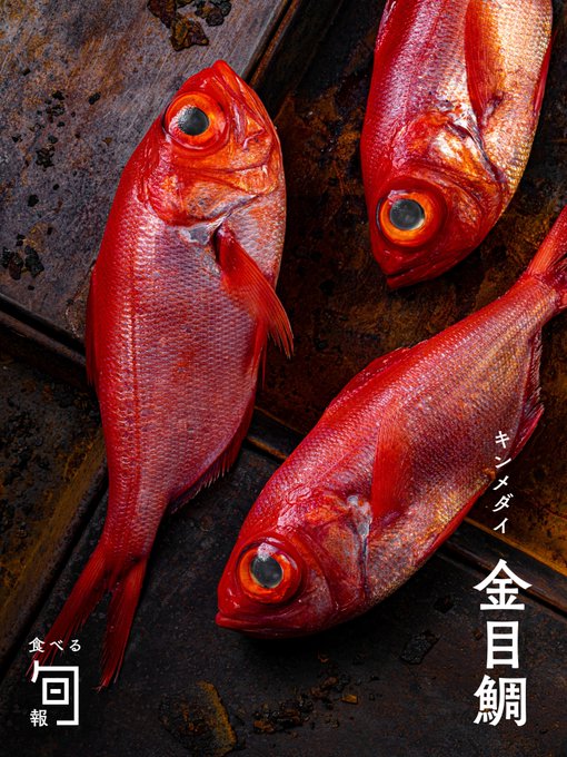 キンメダイ の評価や評判 感想など みんなの反応を1週間ごとにまとめて紹介 ついラン